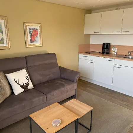 Haus Astenblick Guest house 3*