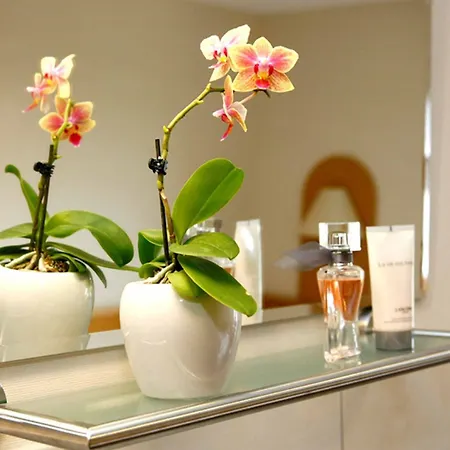 Haus Astenblick Gasthof