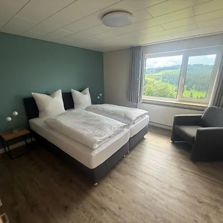 Haus Astenblick 4* وينتربرغ