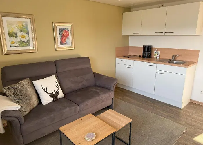 Haus Astenblick Guest house 3*