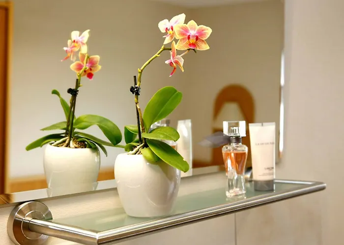 Haus Astenblick Guest house